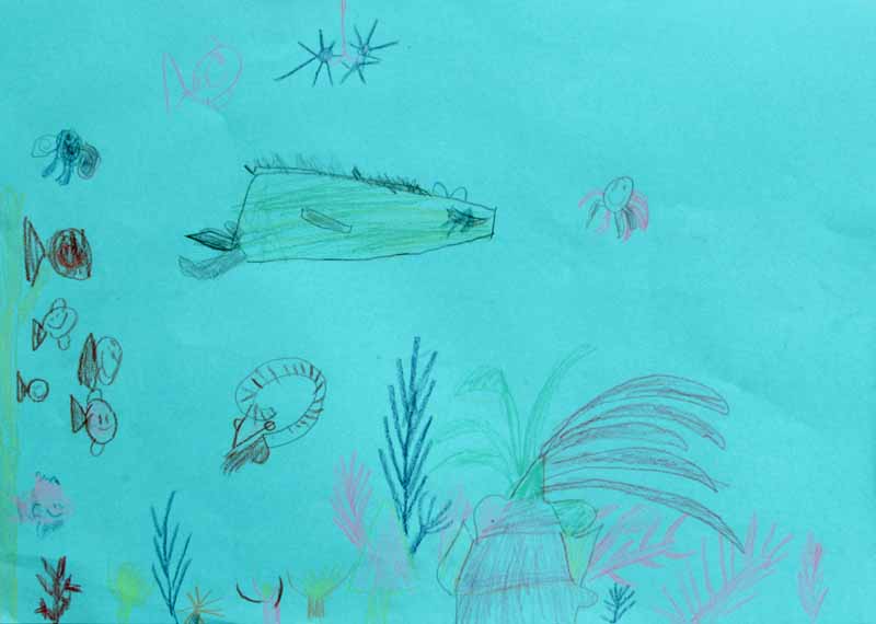 Tintenfische